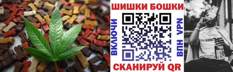 mega ТОР  Злынка  Cannafood конопля 