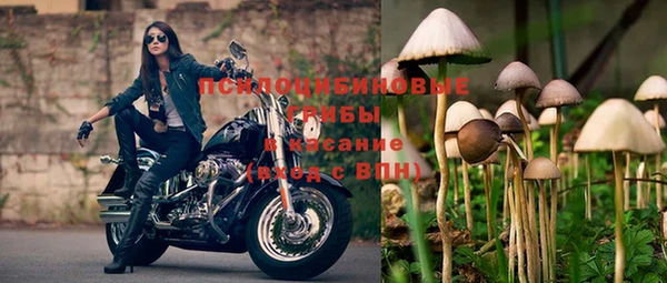 кокс Осташков