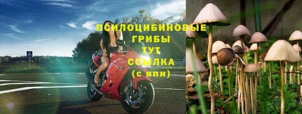 кокс Осташков